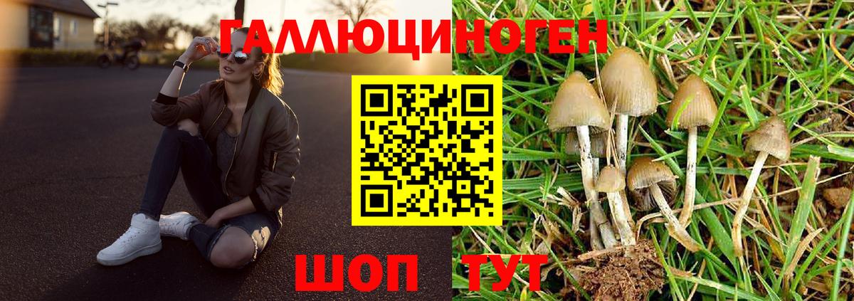 Марихуана Оренбург