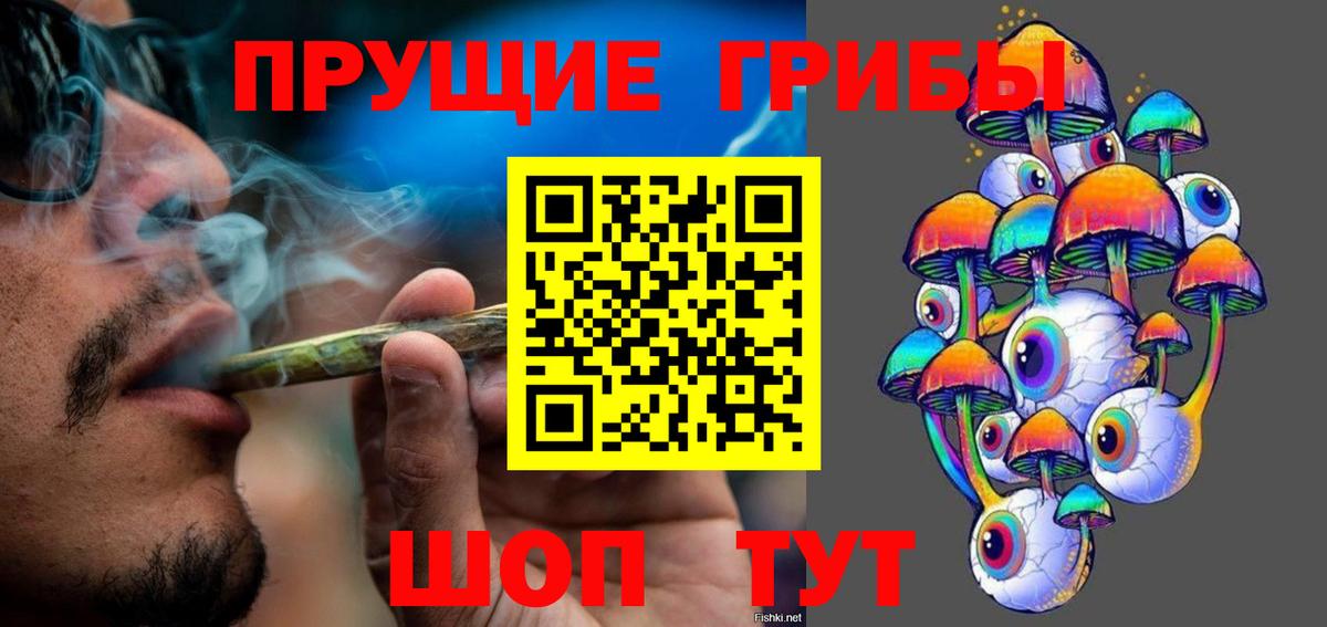 Псилоцибиновые грибы мицелий Оренбург