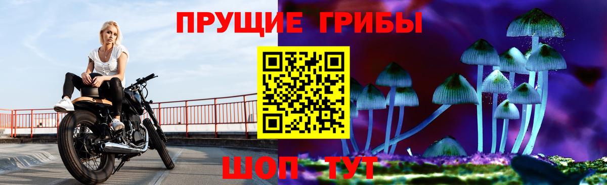 Галлюциногенные грибы мицелий  Вход с VPN  Псилоцибиновые грибы Psilocybine cubensis  Оренбург 